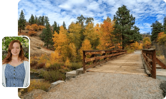 A road with some trees and bushes in the background