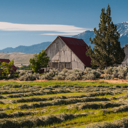 A barn sits in the middle of an open field.